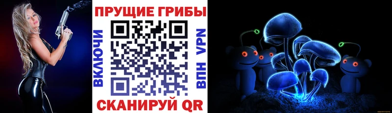 Псилоцибиновые грибы мухоморы  Купить  Сковородино 